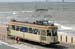 tramparade (43)